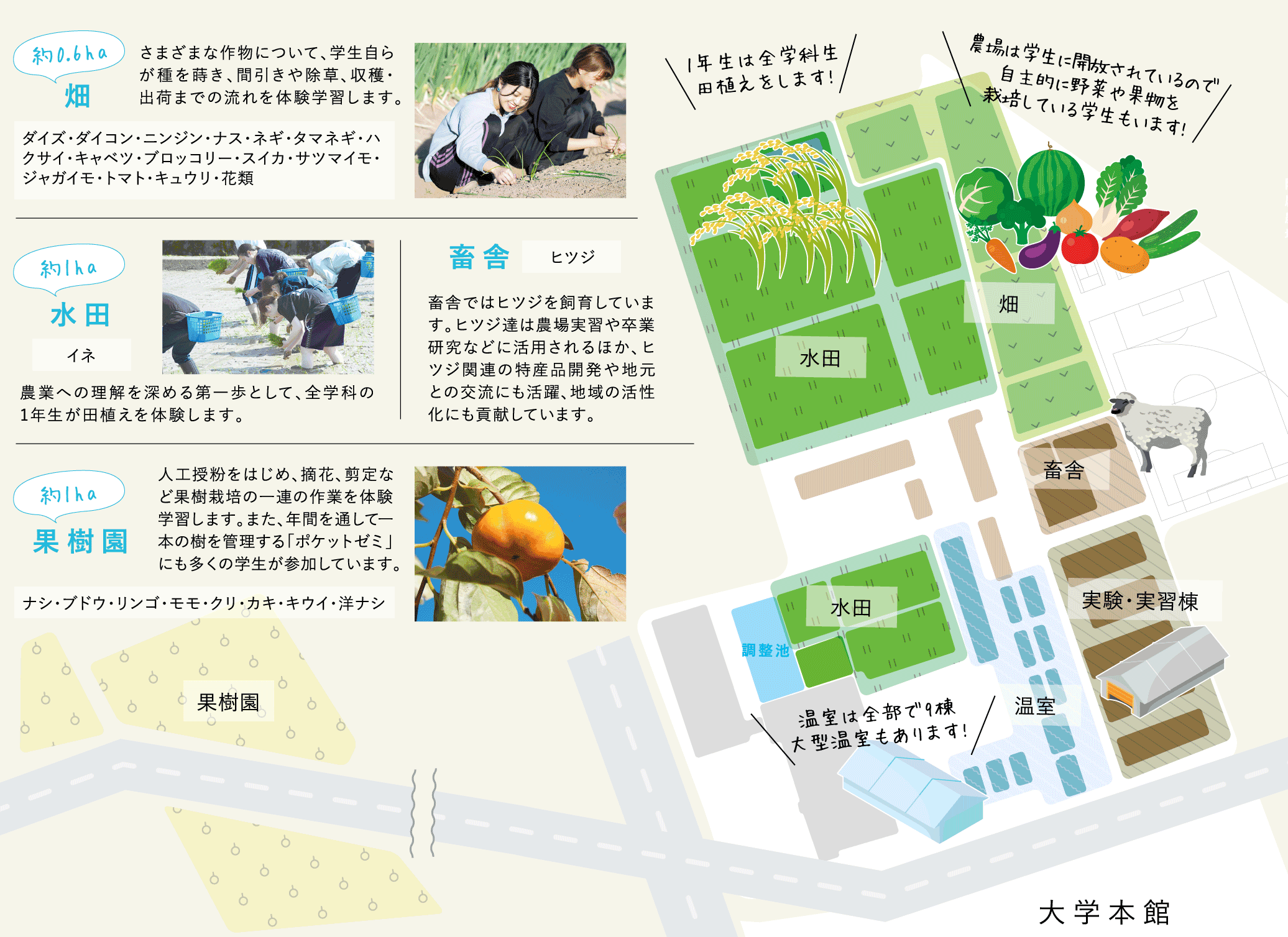 附属農場マップ
