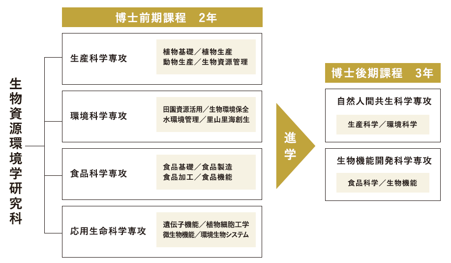 大学院の構成