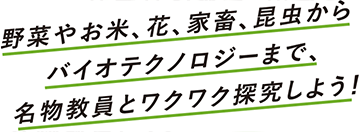 リード文