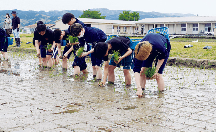 写真