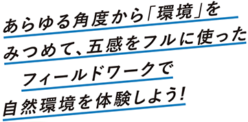 リード文