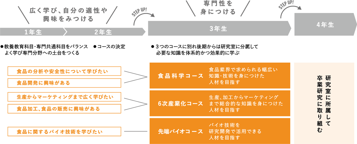 コース紹介