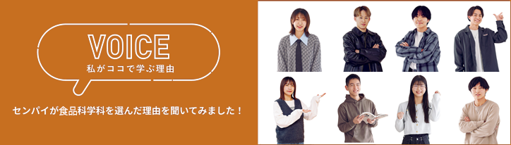 voiceリンクバナー